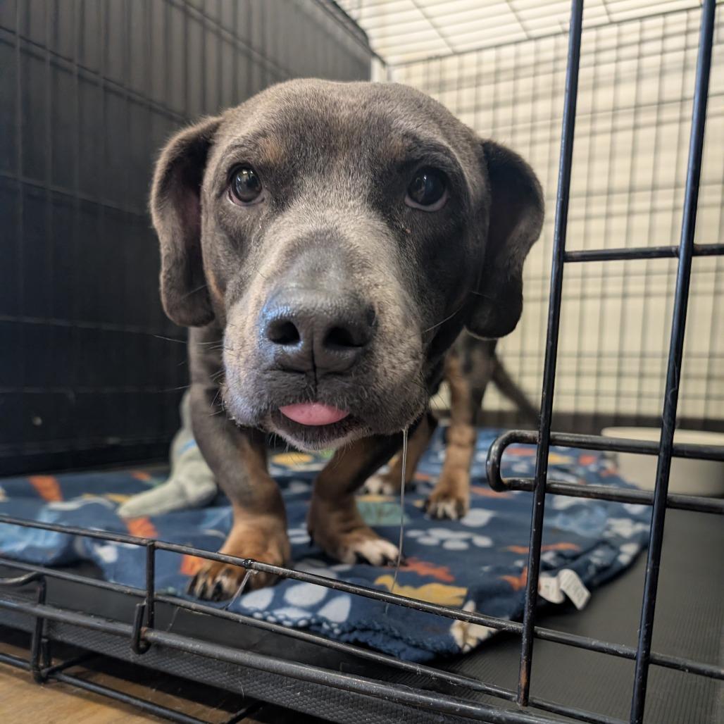 Low And Slow thumbnail 2