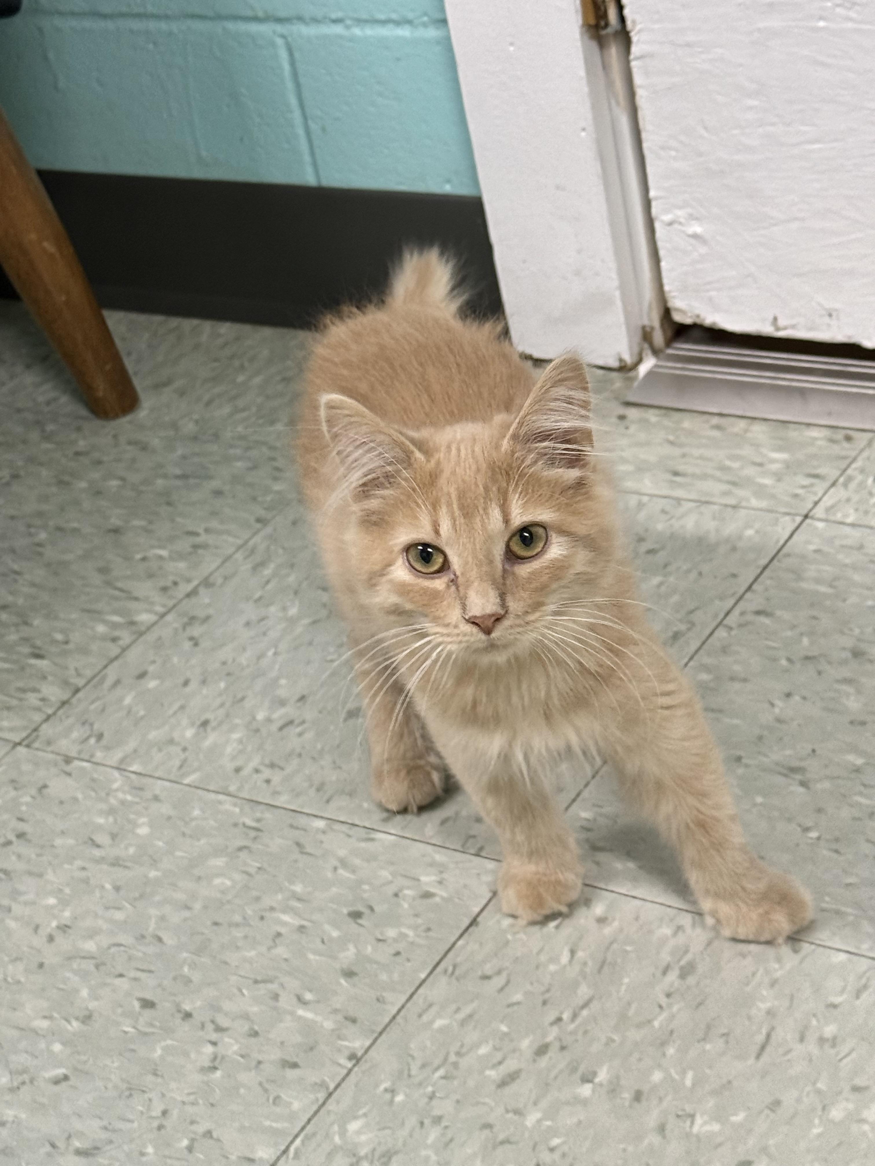 Marvin