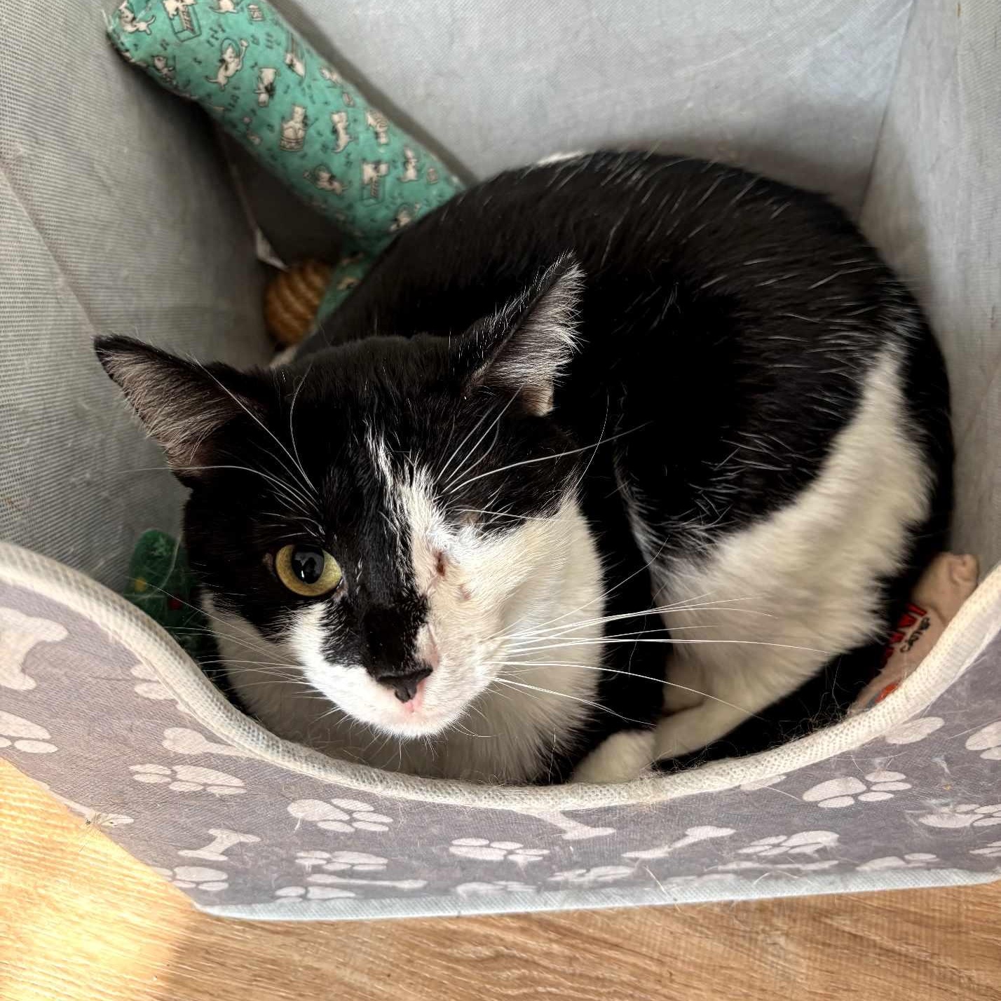 Franklin