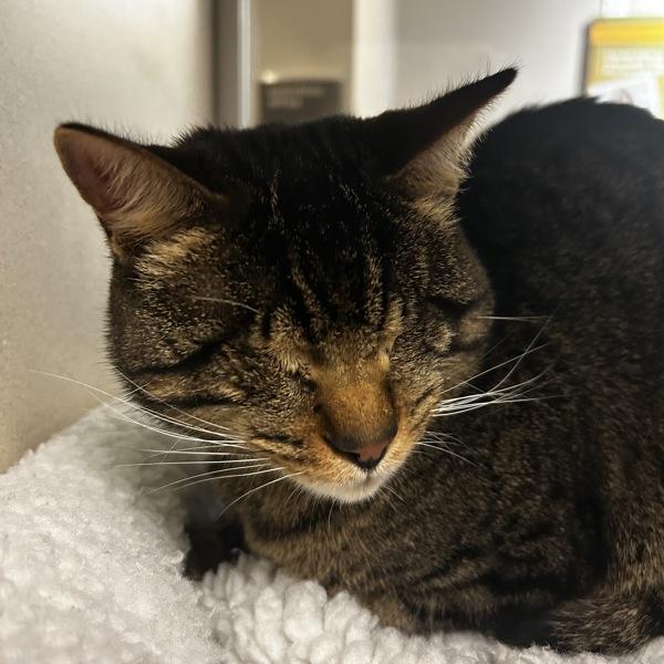 Charles — thumbnail 4