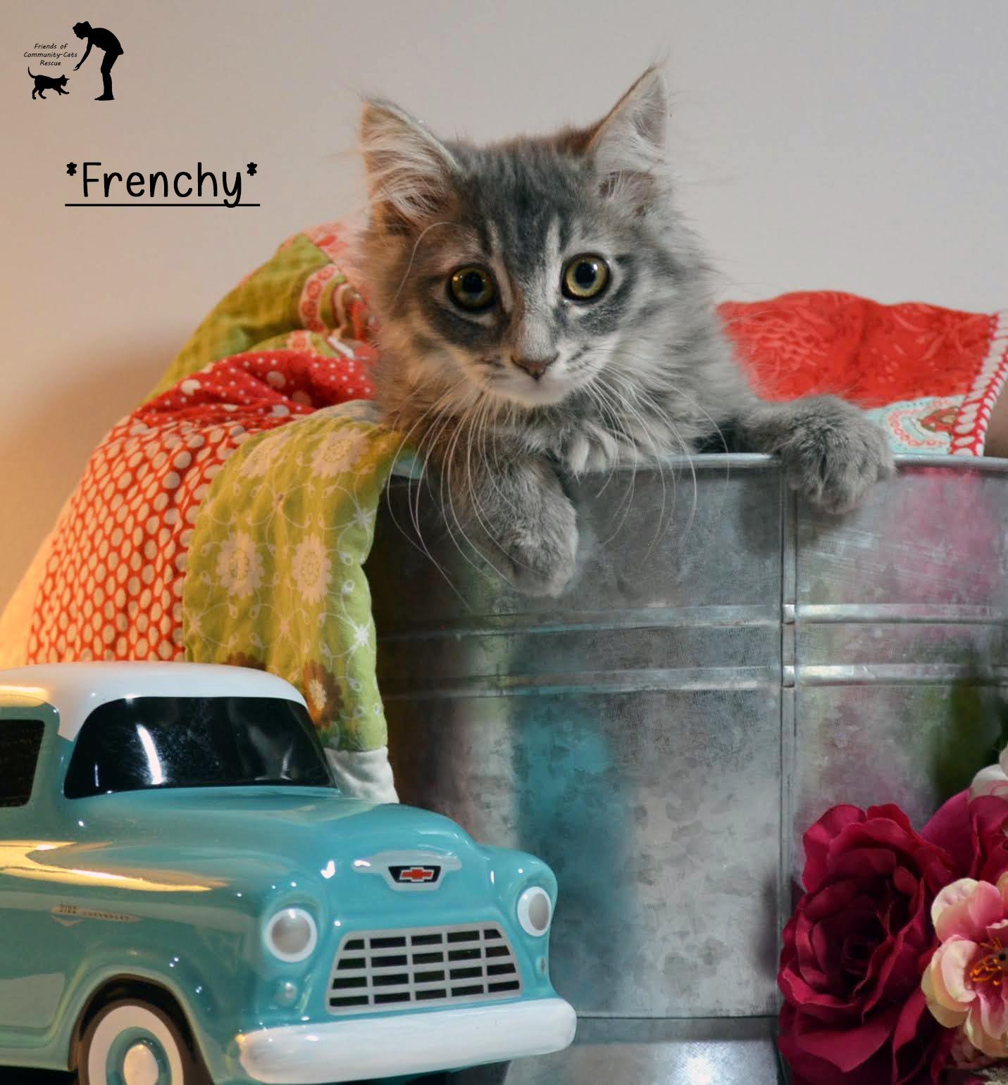 Frenchy