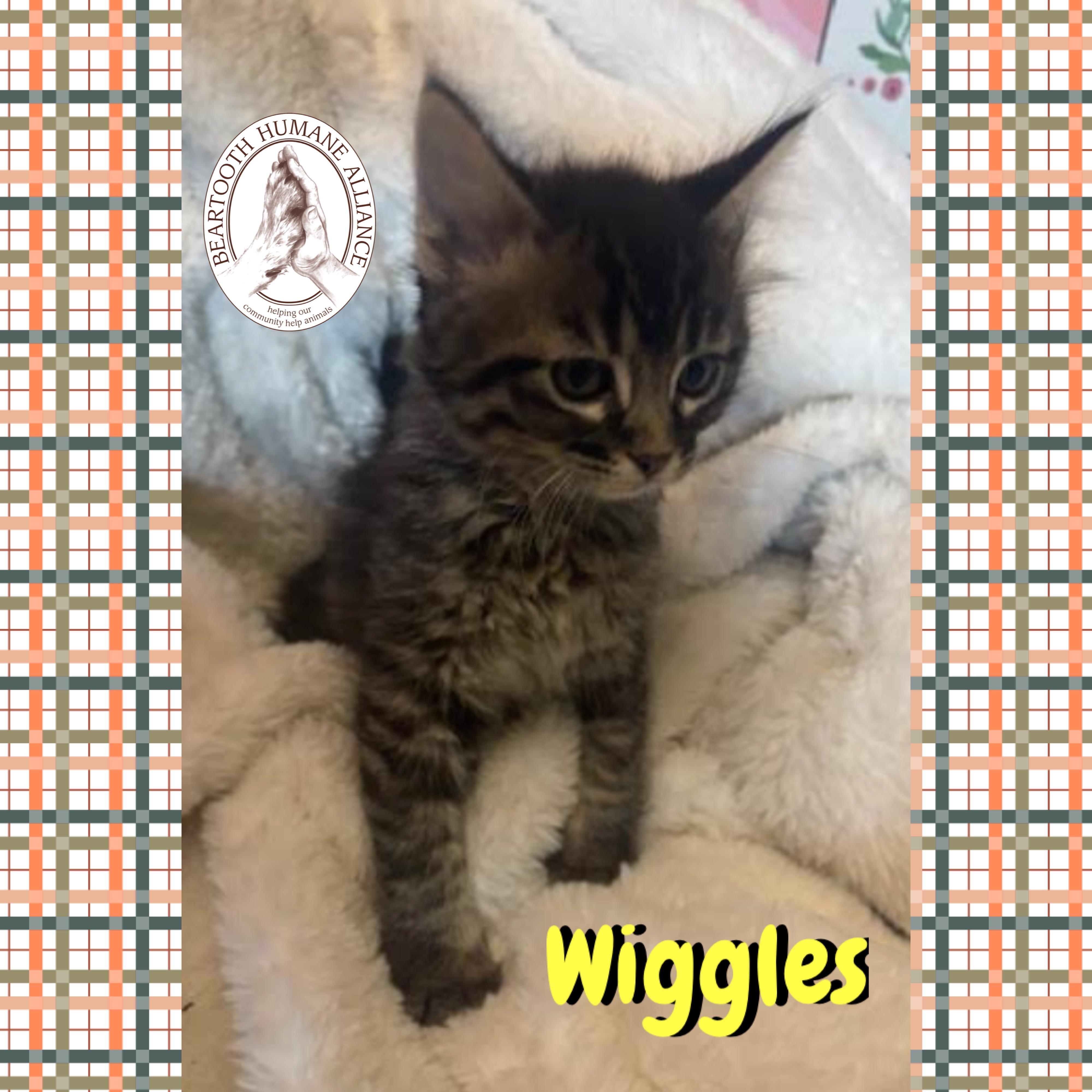 Wiggles