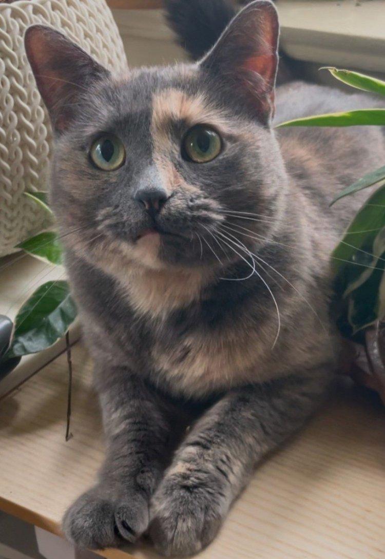 Luna