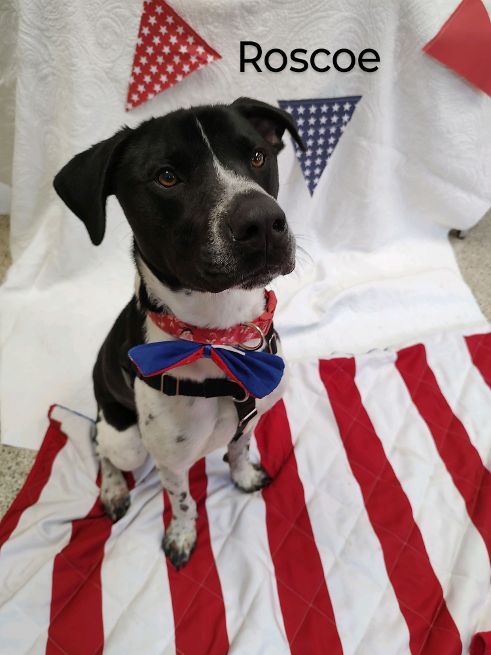Roscoe