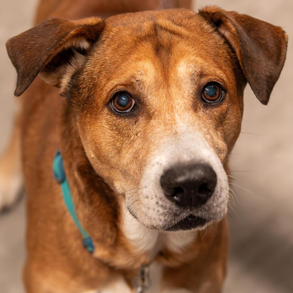 Austin — thumbnail 3