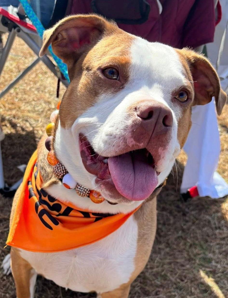 Finnegan thumbnail 3