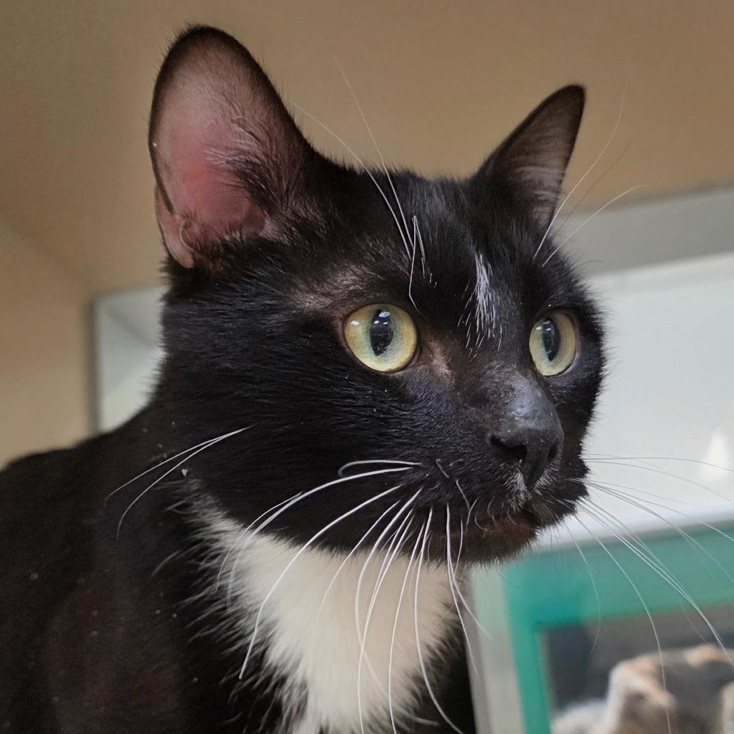 Reginald photo