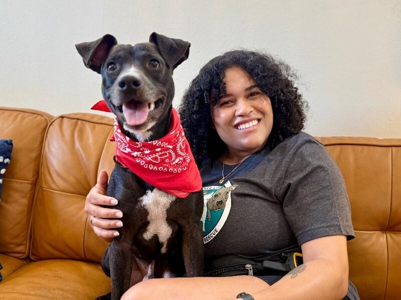 Gizmo Pint Sized Cuddle Buddy — thumbnail 3