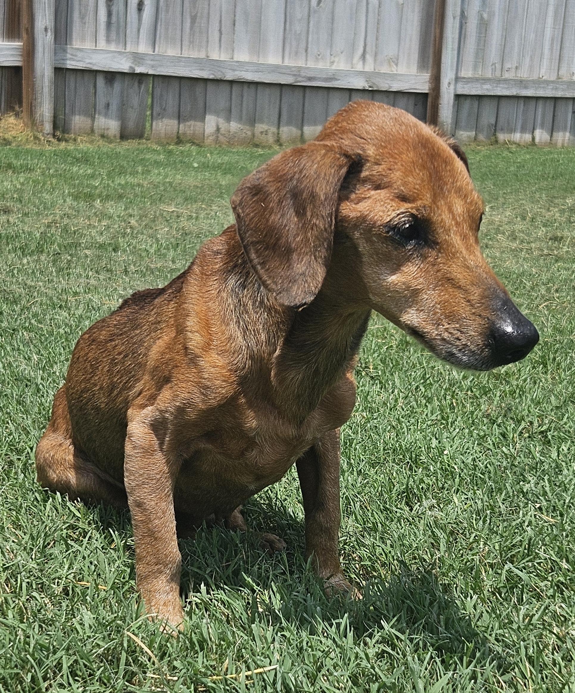 MR. BUDDY MCGRUMBLES