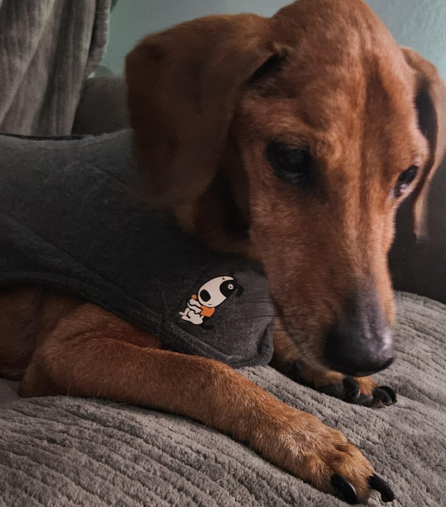 MR. BUDDY MCGRUMBLES