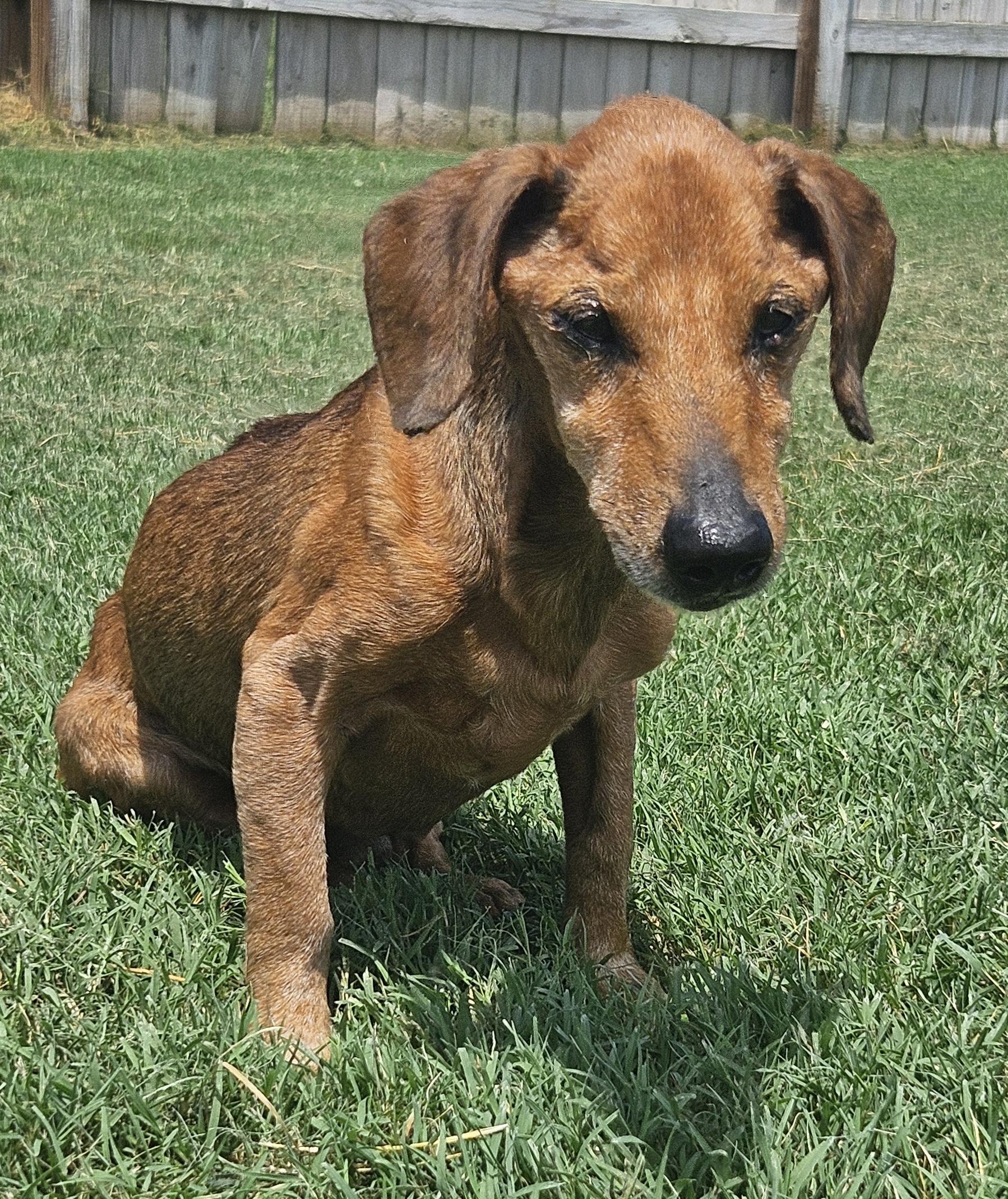 MR. BUDDY MCGRUMBLES