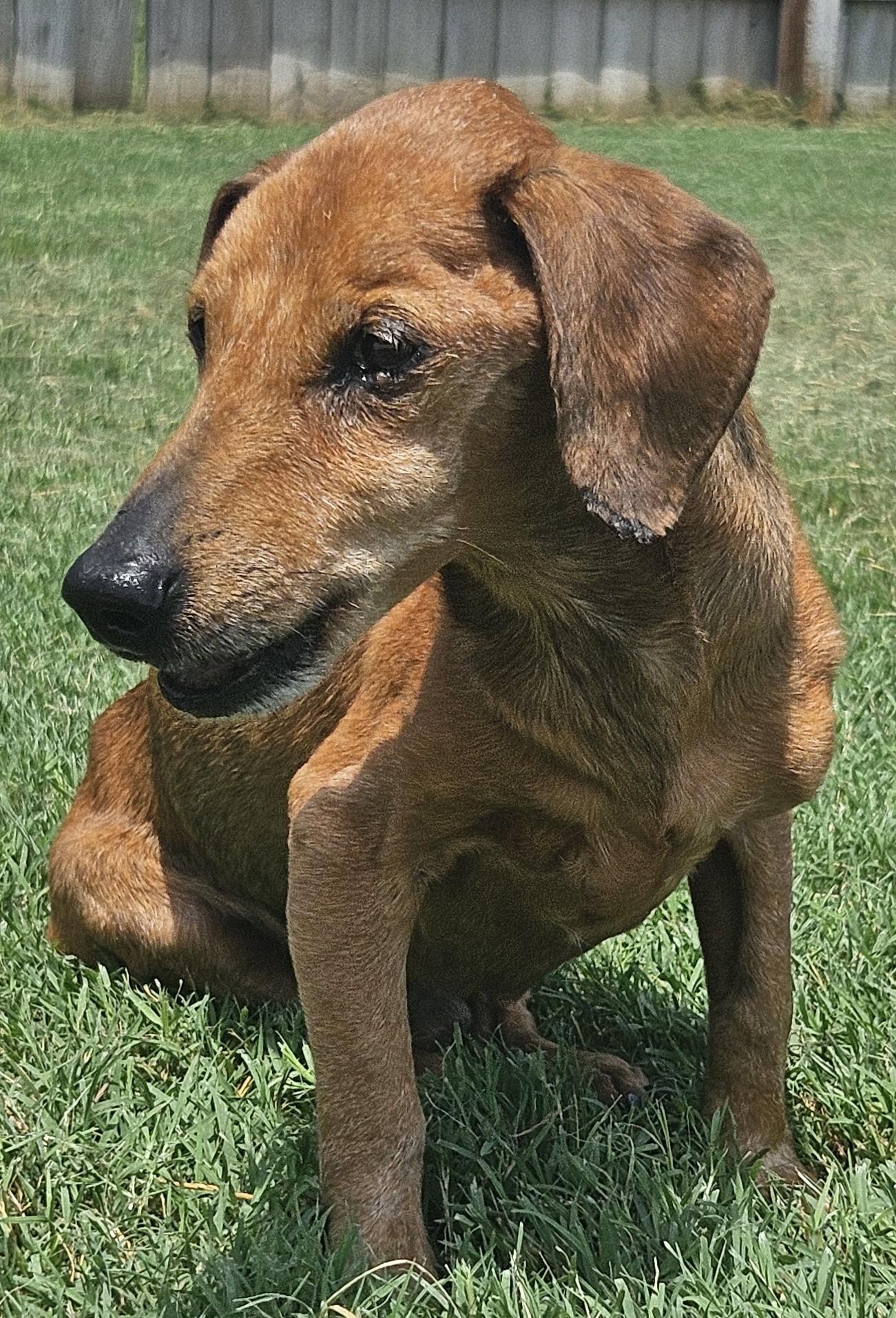 MR. BUDDY MCGRUMBLES