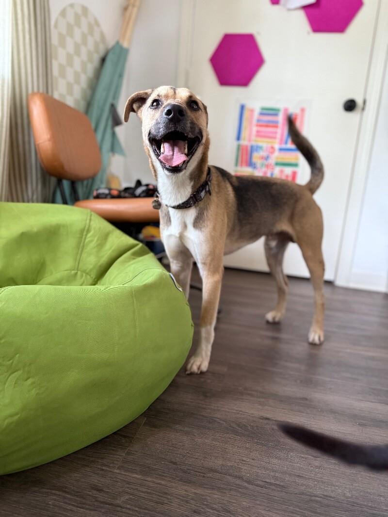 Enzo with the happy boy energy and family man vibes 4