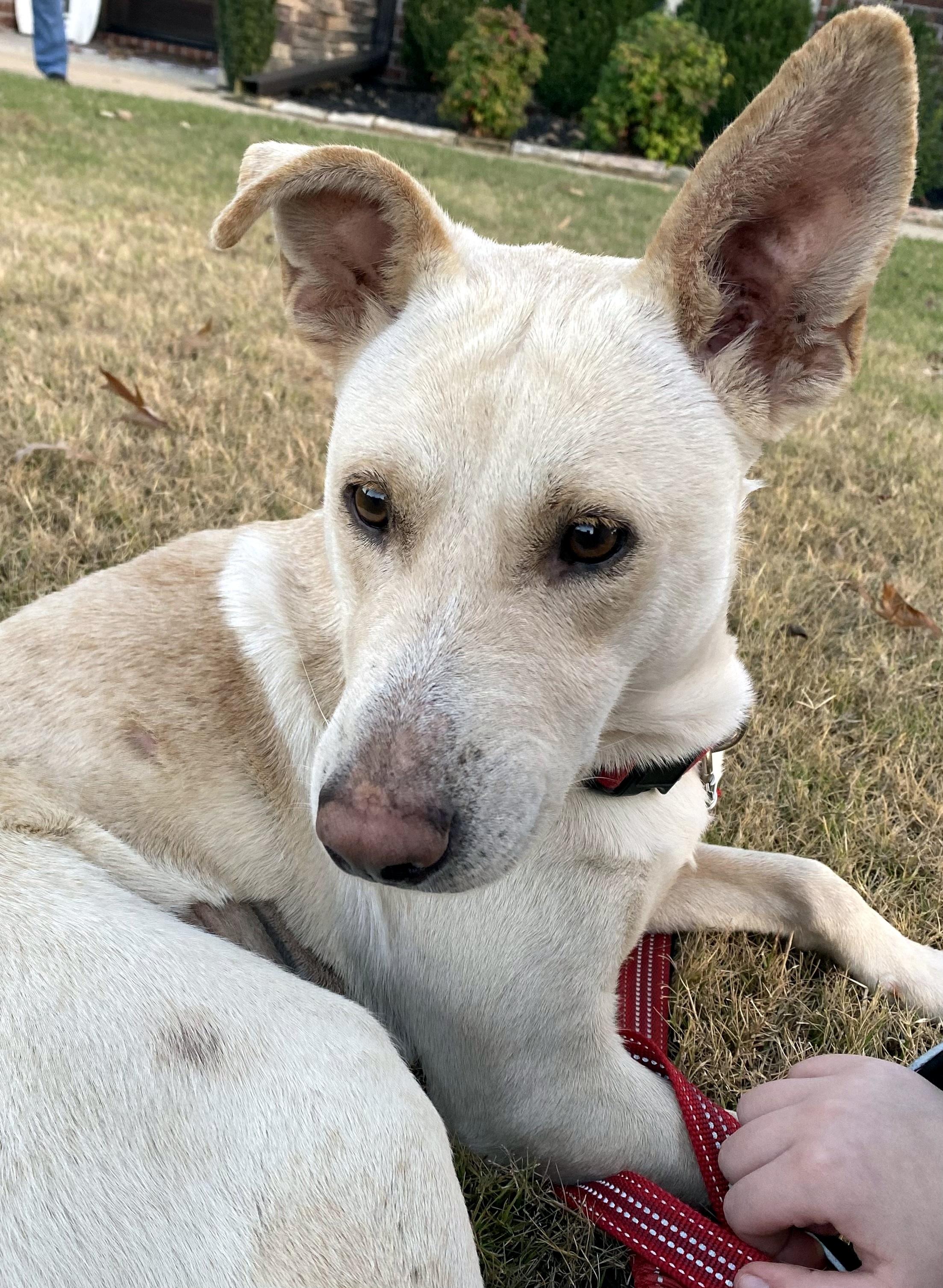 MABEL - waiting to bring her sweetness