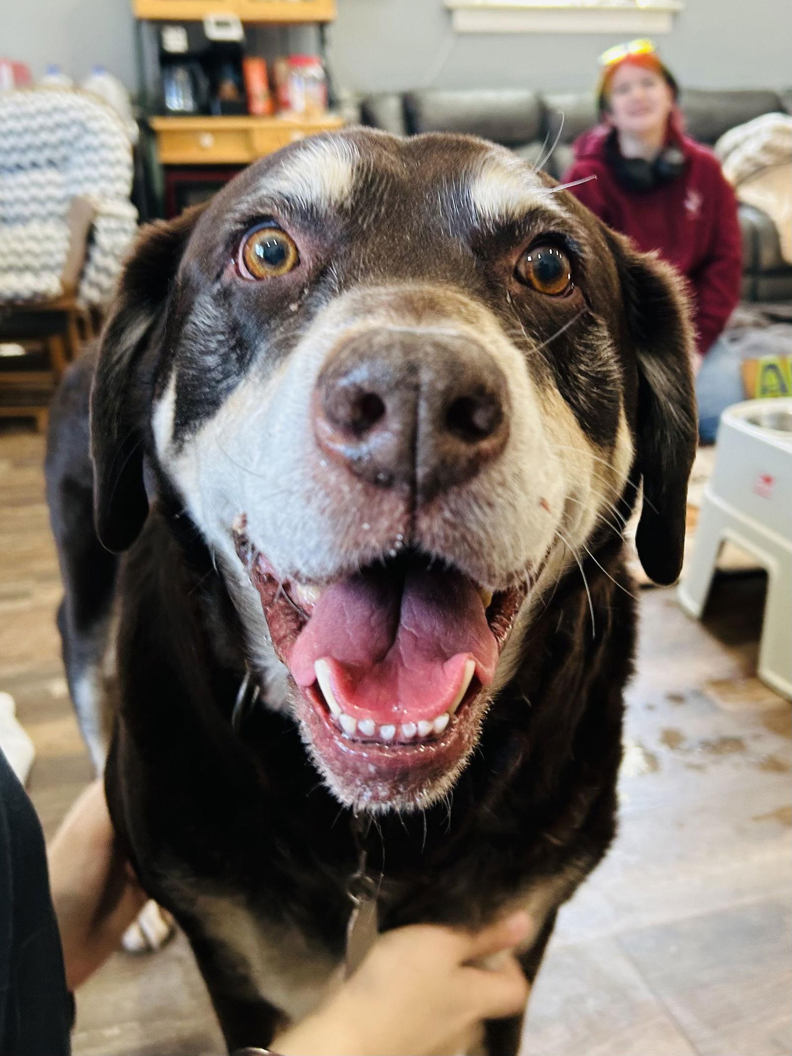 Frankie — thumbnail 2