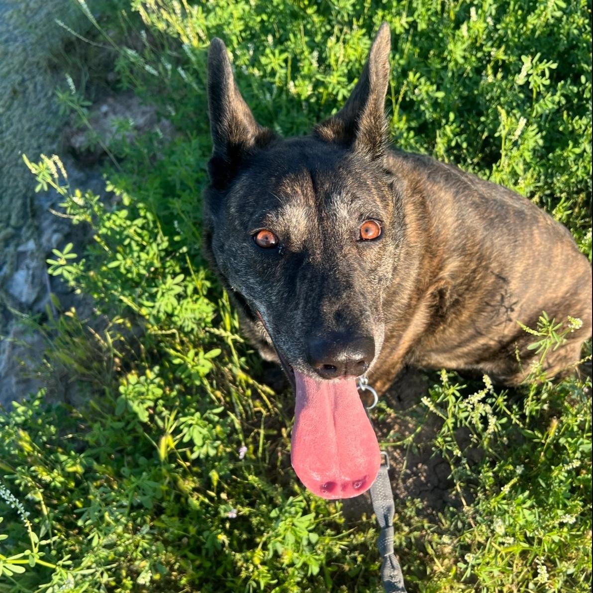 Kennedy Gdp thumbnail 3