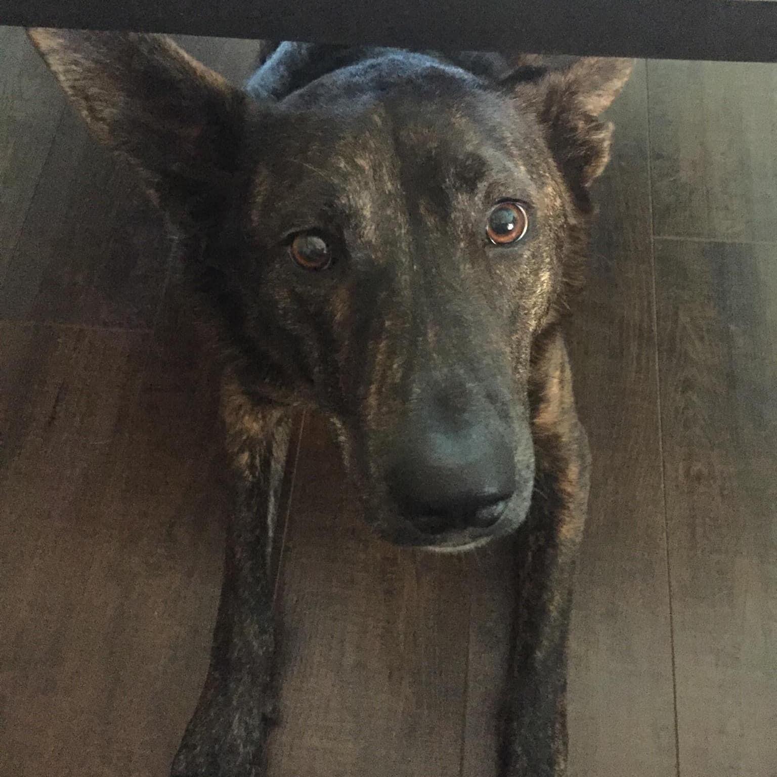 Kennedy Gdp thumbnail 4