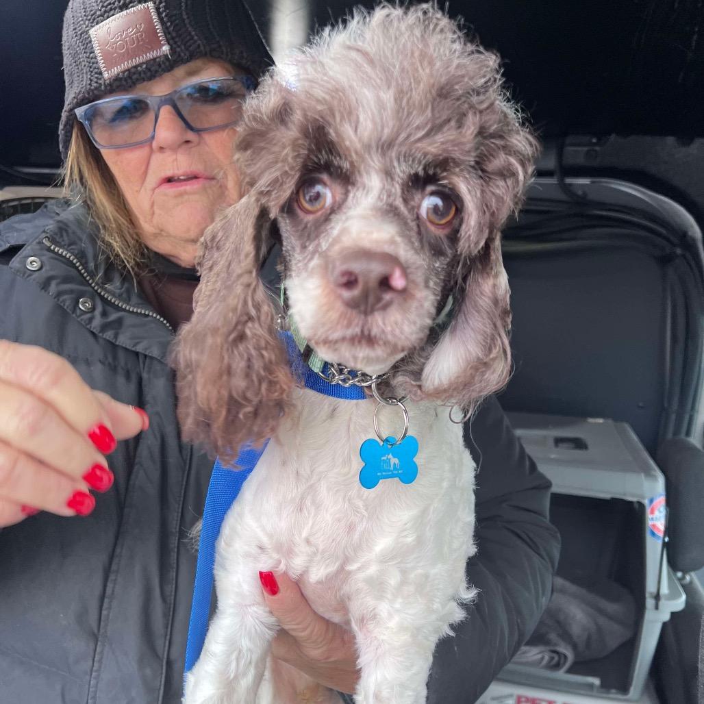 Hallmark thumbnail 3