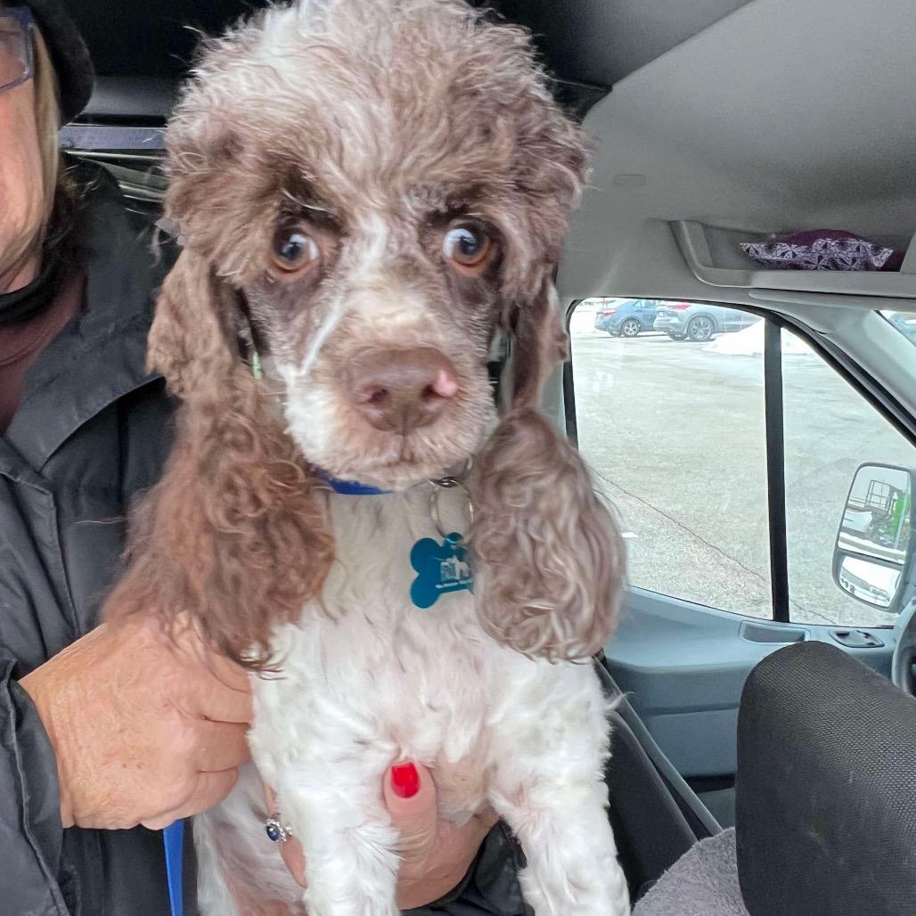 Hallmark thumbnail 4