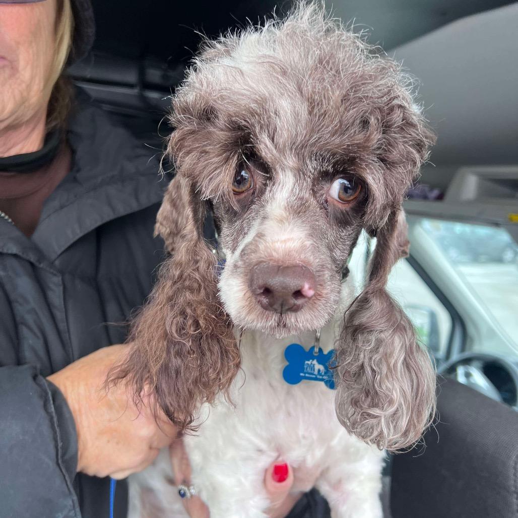 Hallmark thumbnail 5