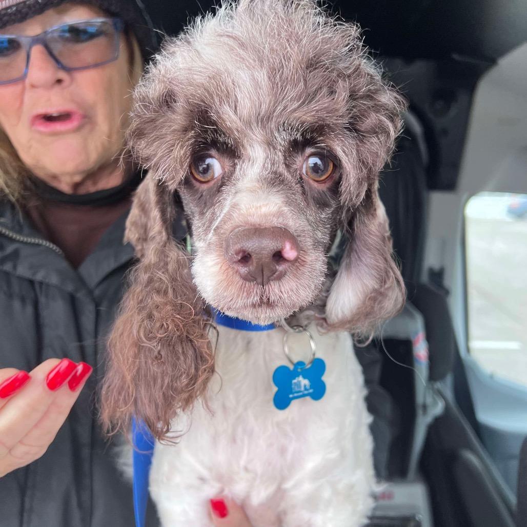 Hallmark thumbnail 6