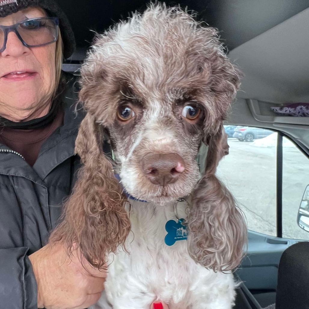 Hallmark thumbnail 7