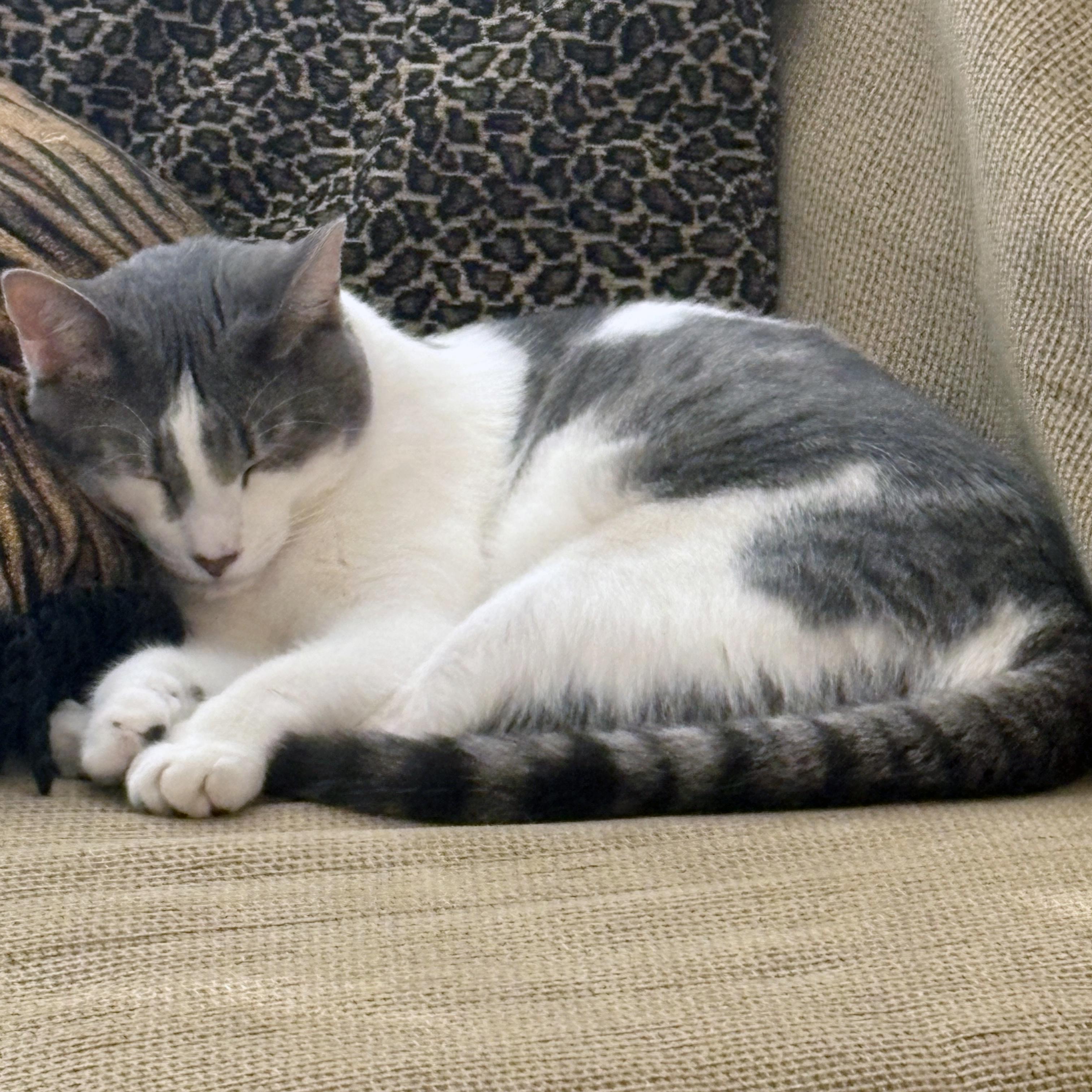 Griswold thumbnail 2