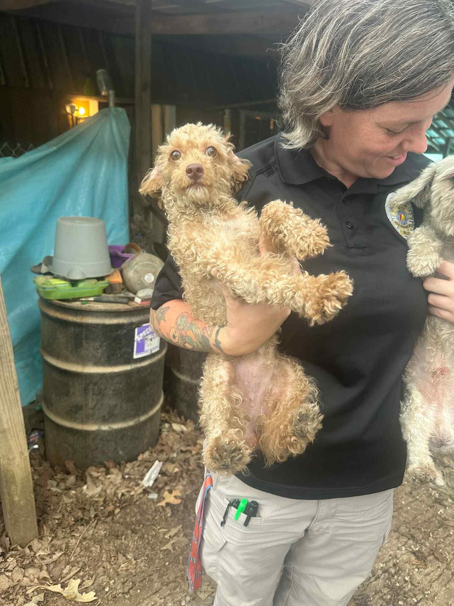Bethel-Foster Home Needed