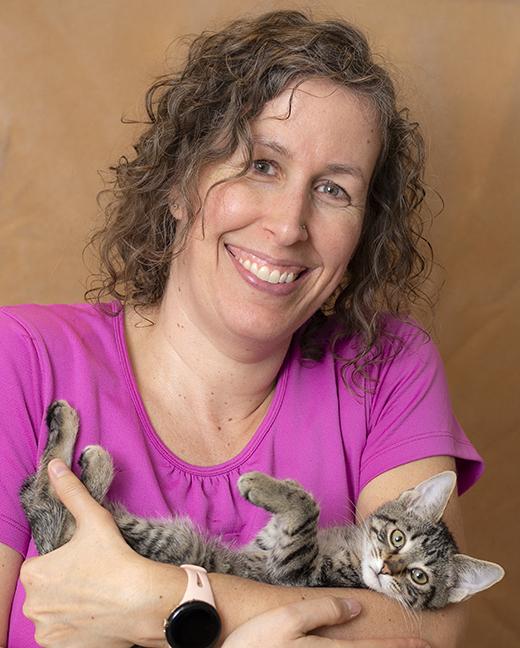 Enlarge Audrey, an adopted Tabby in Chicago, IL image 6/6