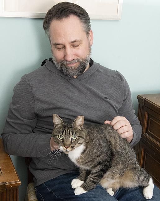 Enlarge Lex, a ADOPTABLE Tabby in Chicago, IL image 5/6