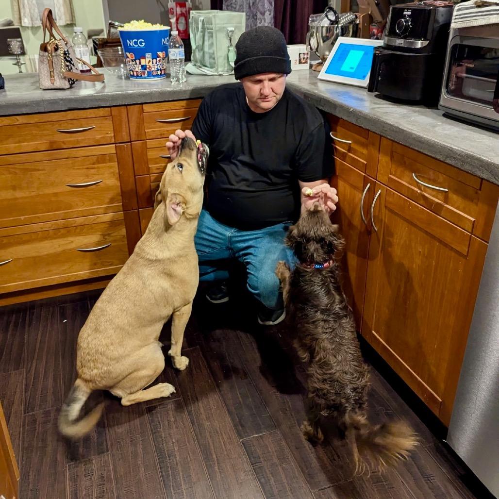 Enlarge Lil Red, a Adoptable mixed breed in Metamora, MI image 4/6