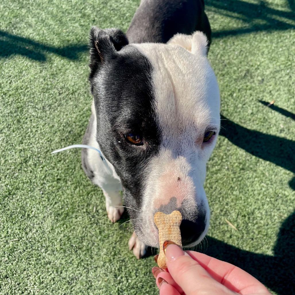 JALEN J — thumbnail 6