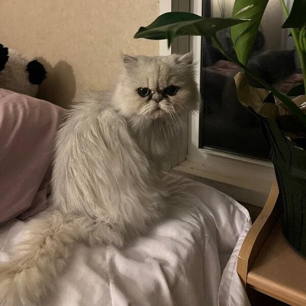 Margot Marvelous — thumbnail 3