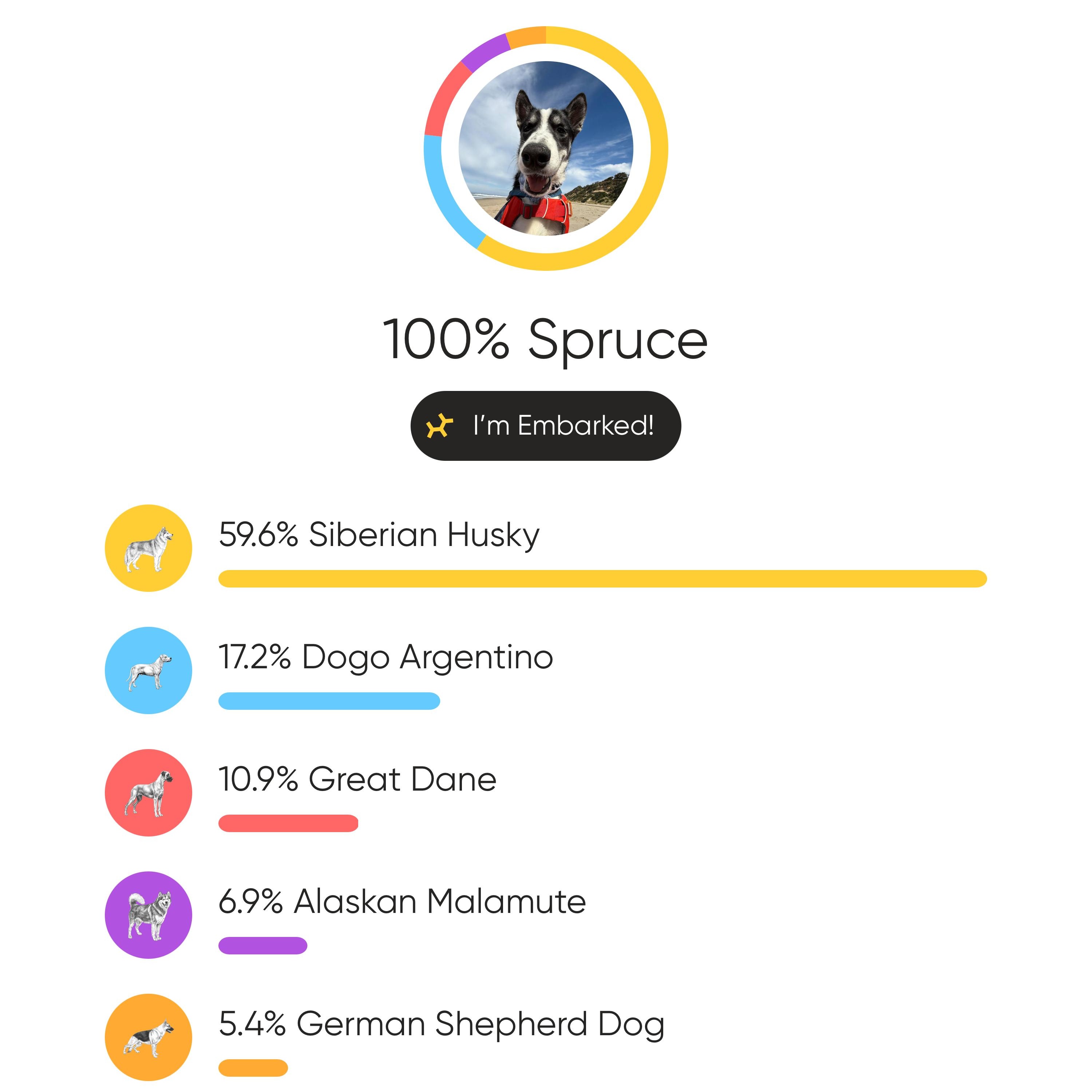 Spruce, an adoptable Husky, Great Dane in Otis, OR, 97368 | Photo Image 5