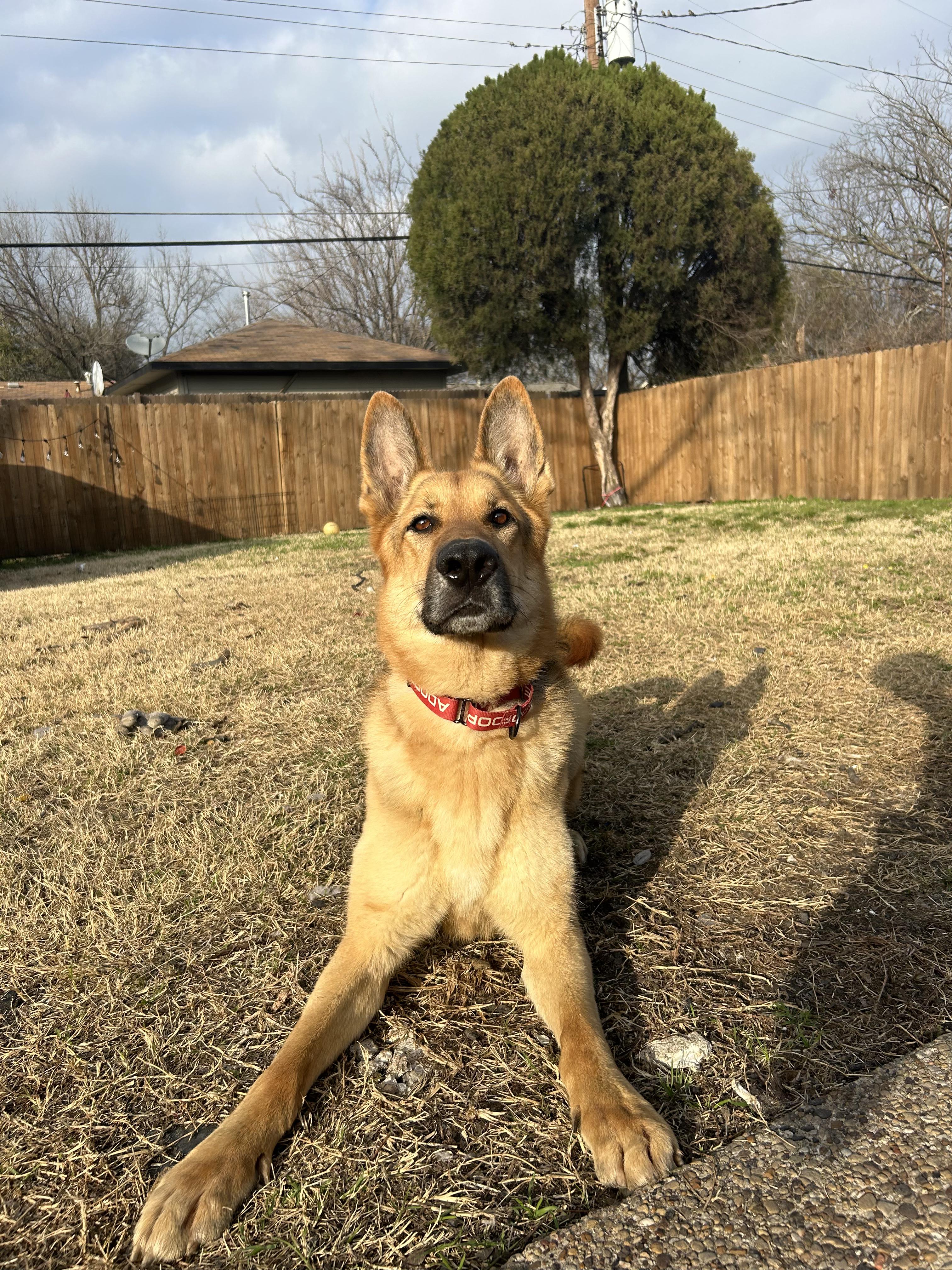 Kilo photo 2