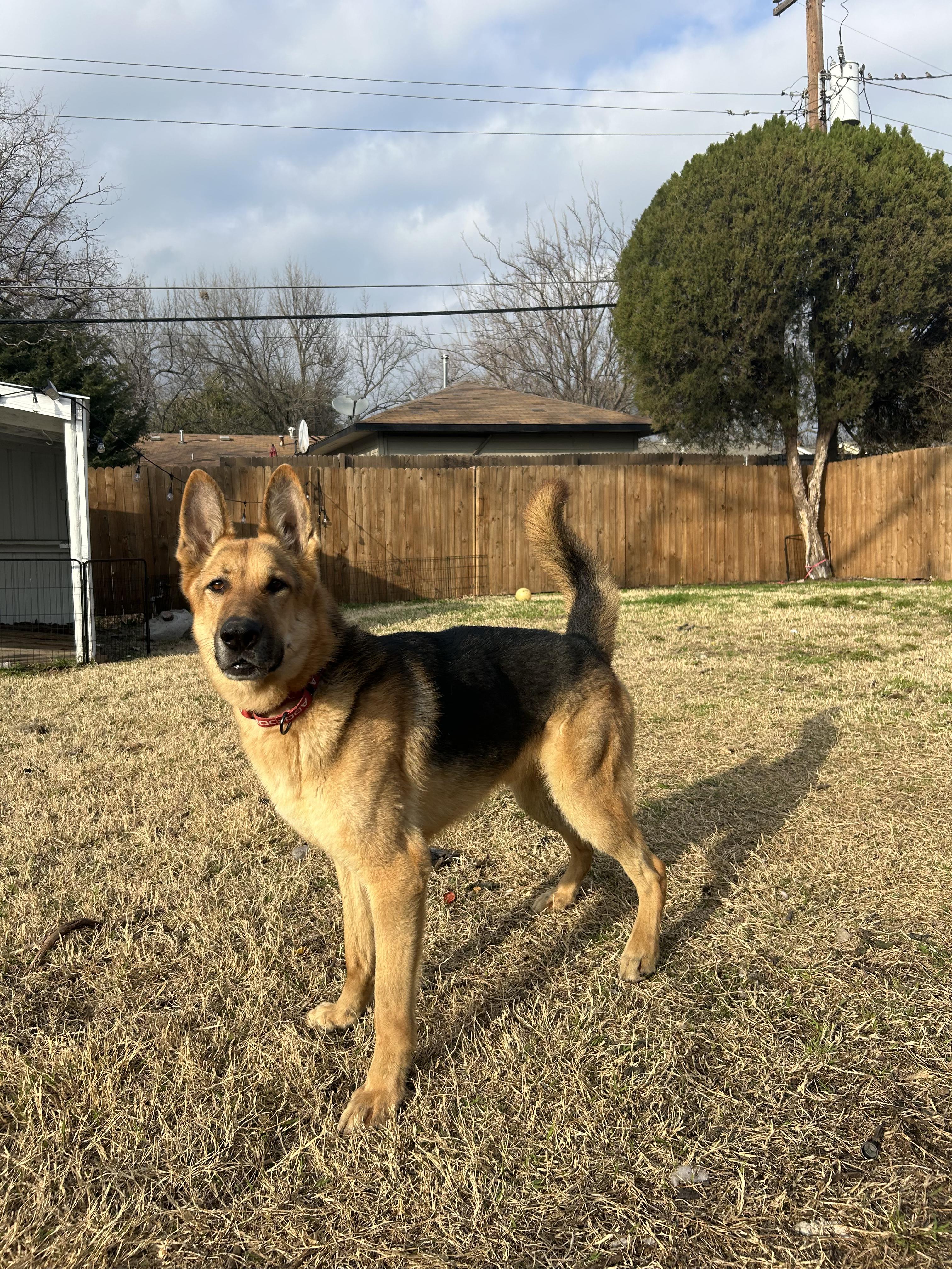 Kilo photo 4