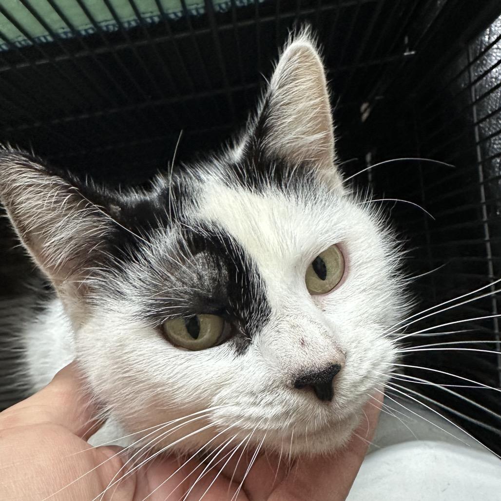 Splash — thumbnail 2