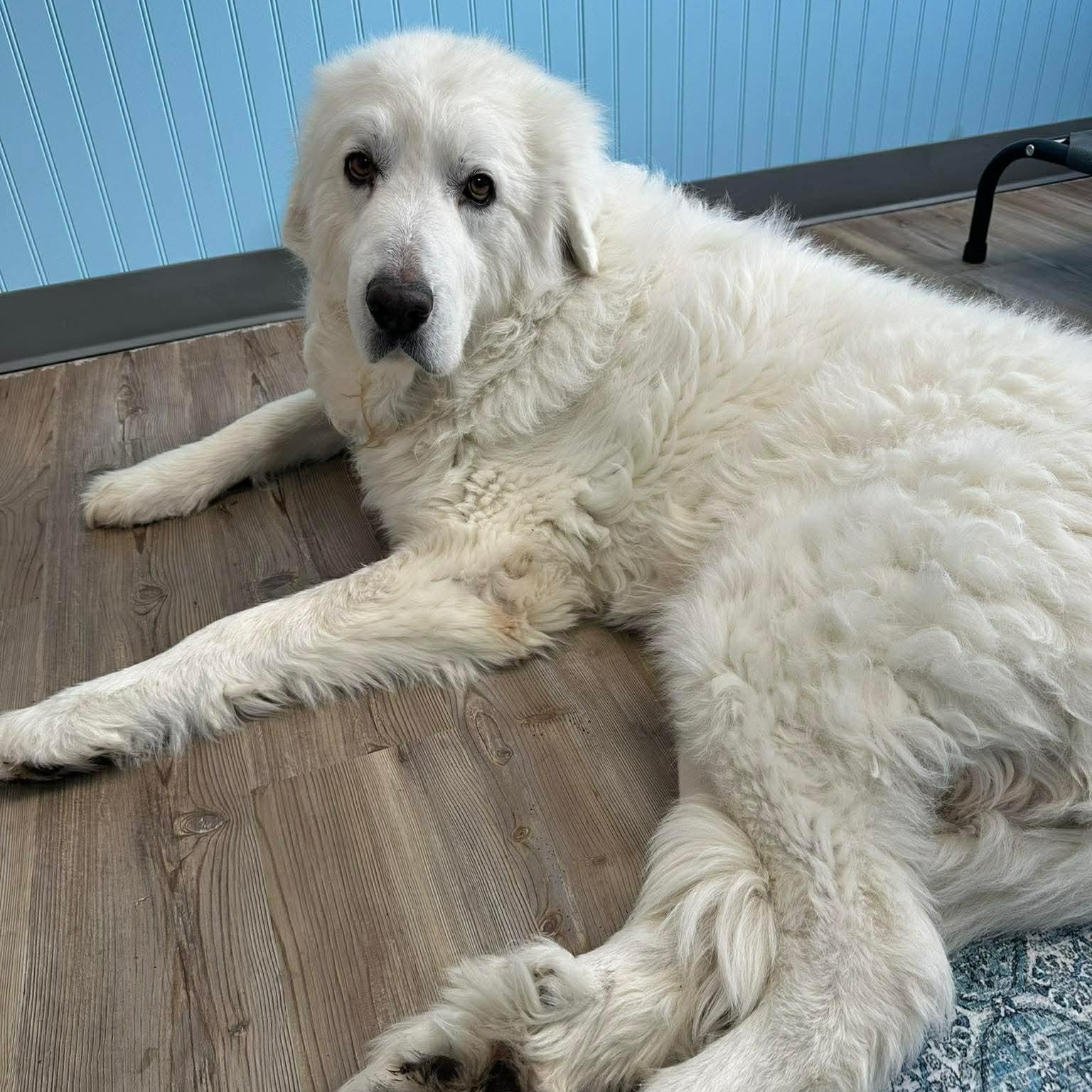 Odin — thumbnail 6