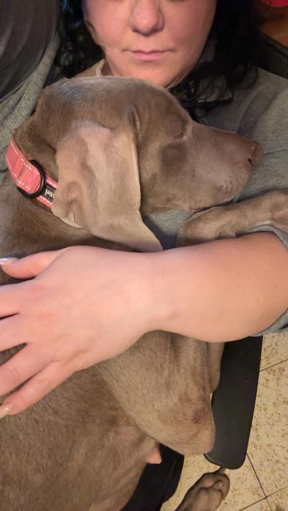 Maxine (The Pitt Momma)