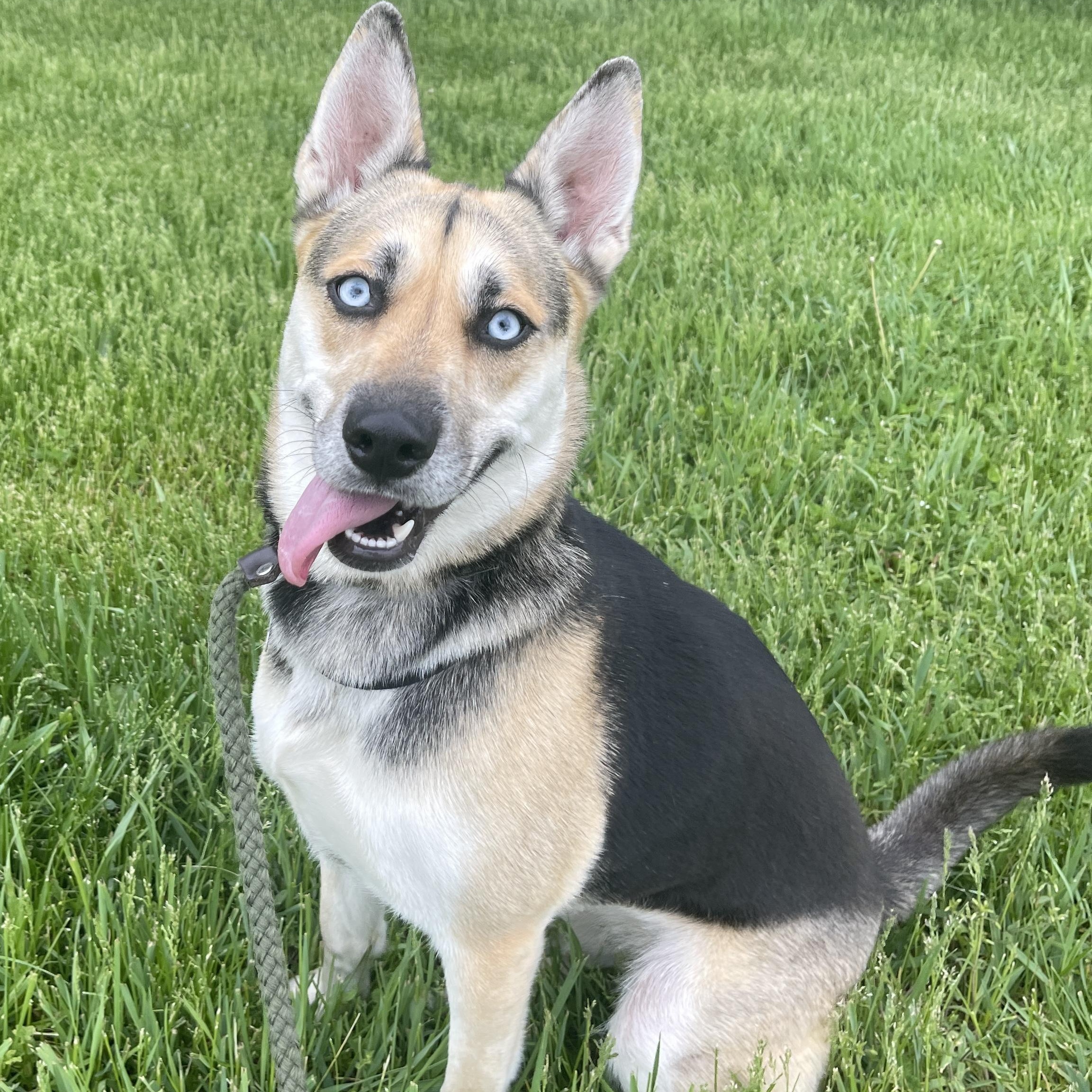 Paulie, Adult Female unknown