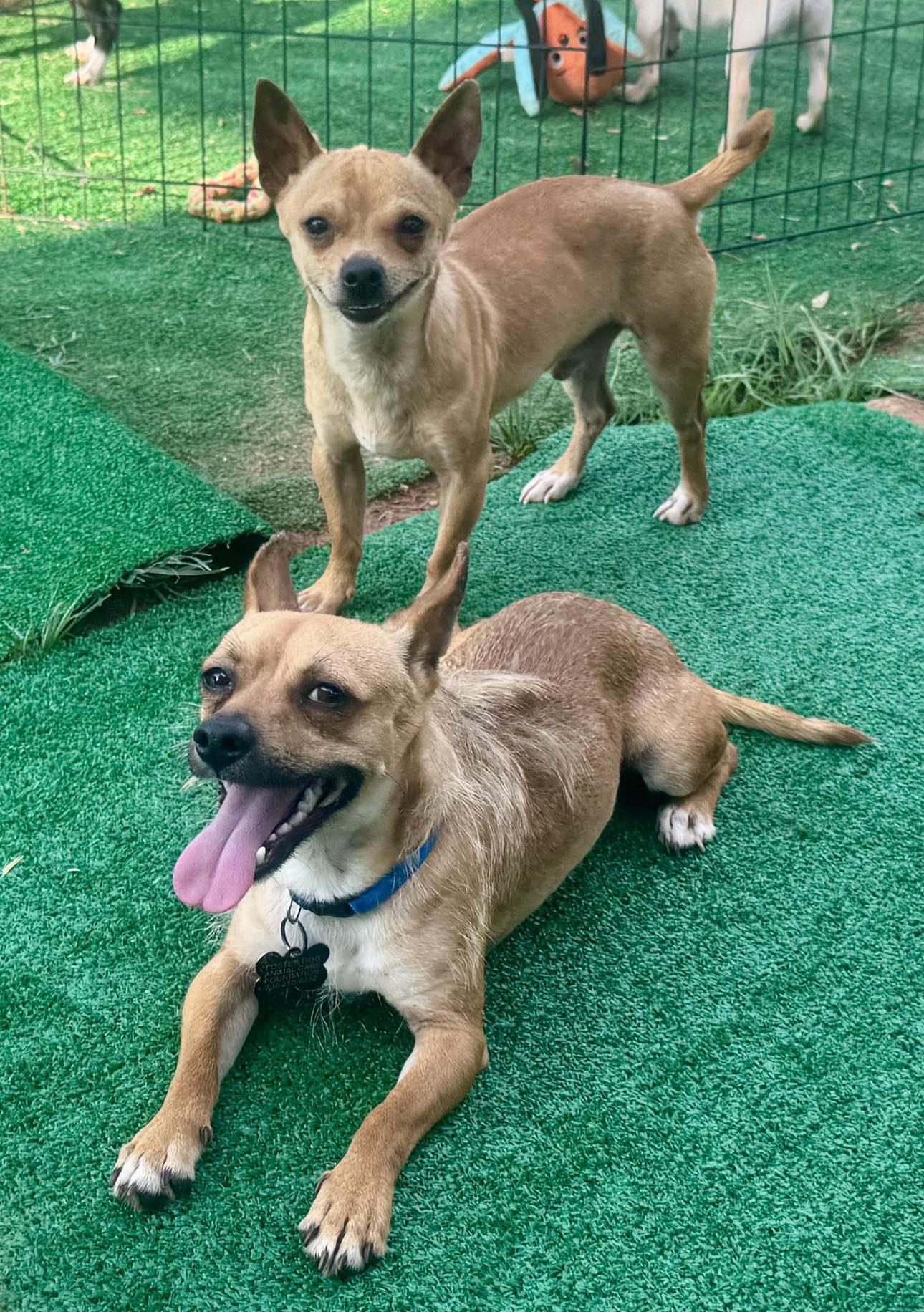 Cooper & Biggie