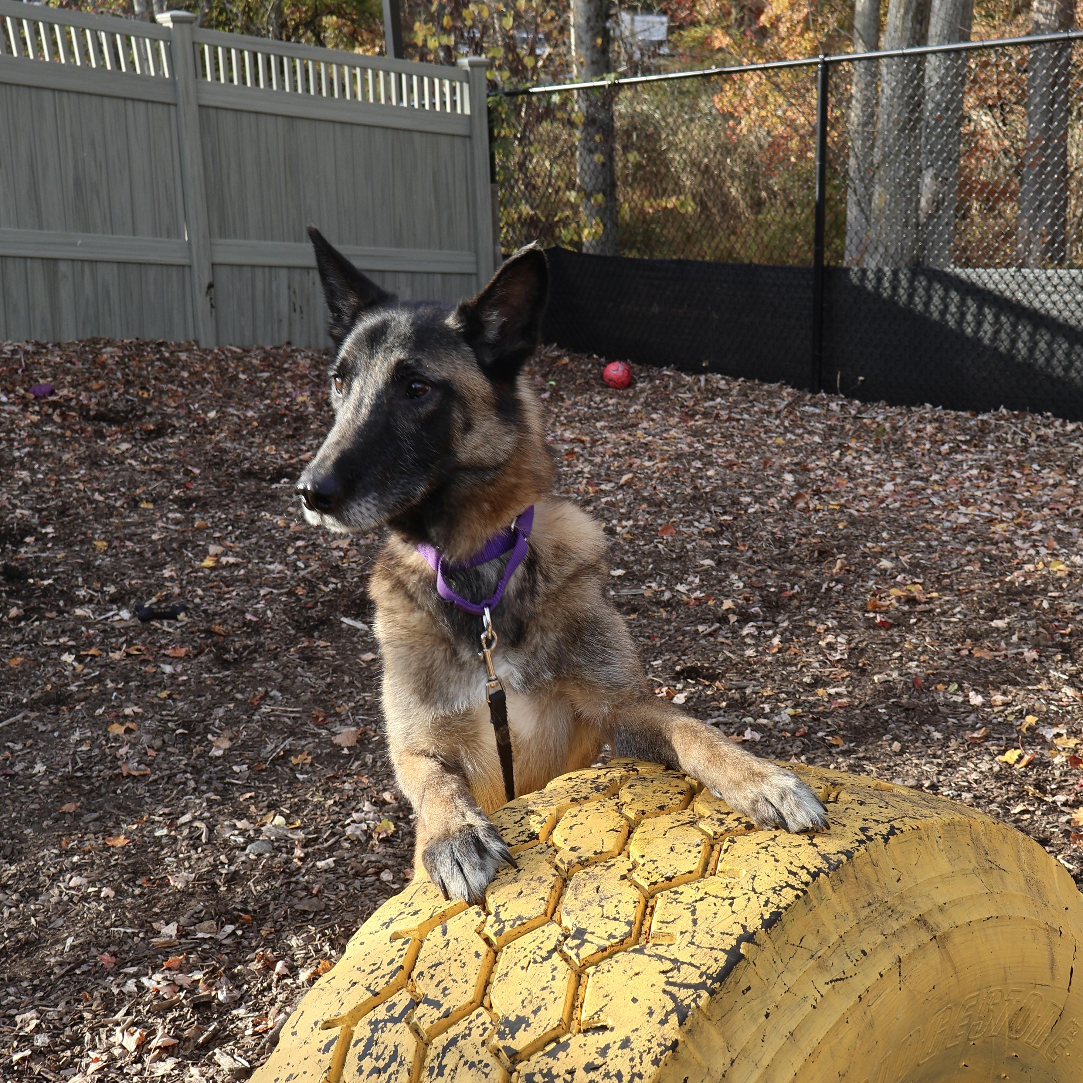 Fabian **see bio for more details**