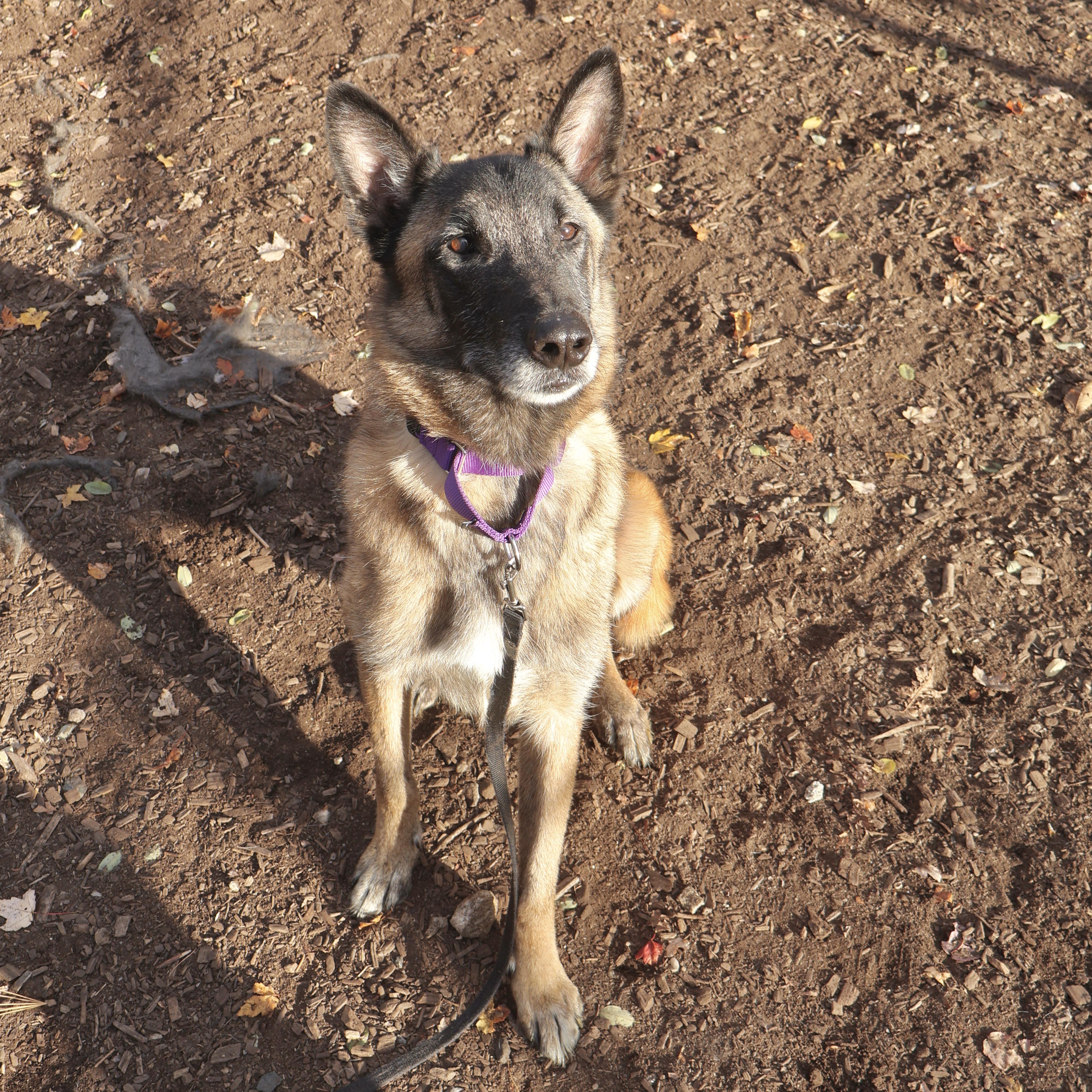 Fabian **see bio for more details**