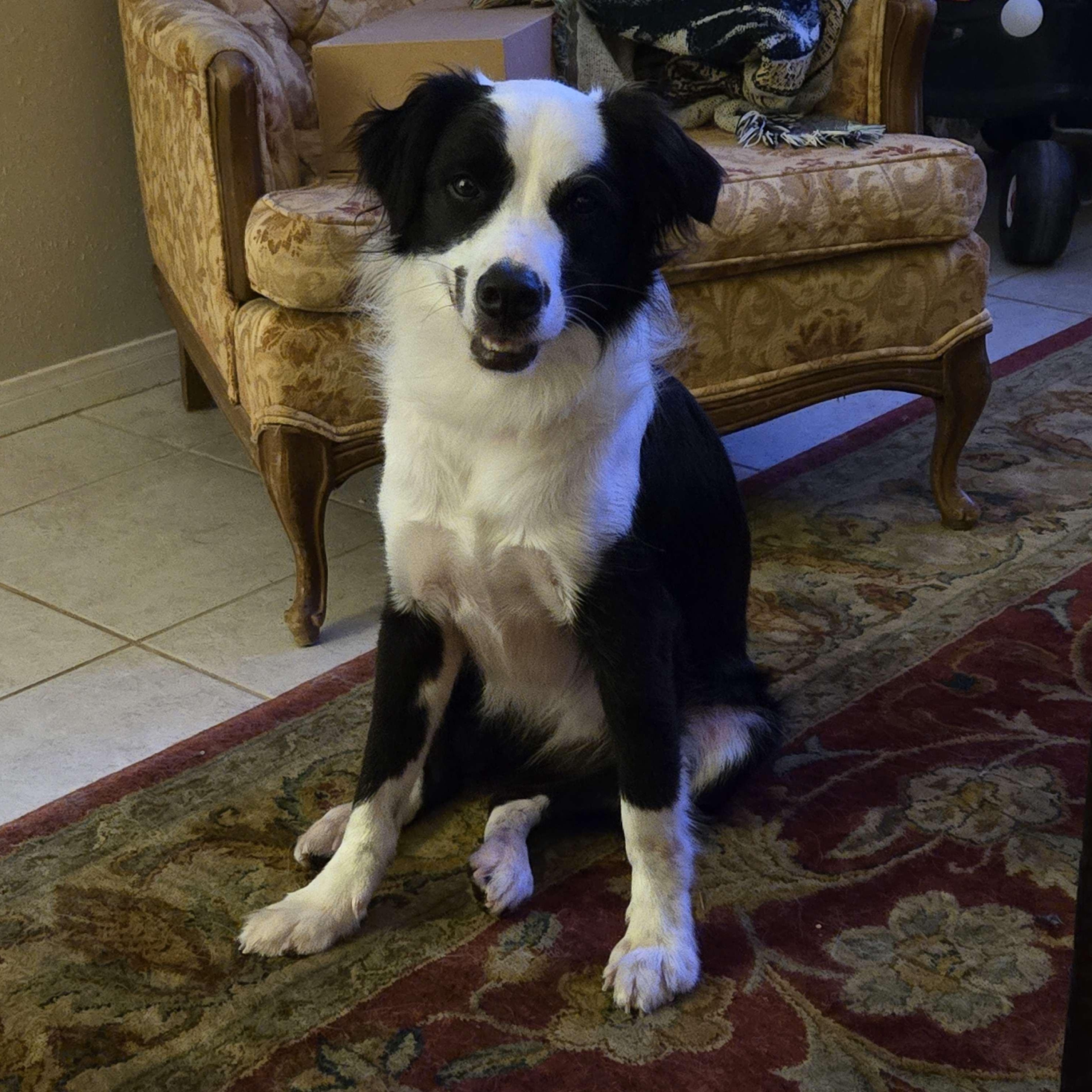 Tux