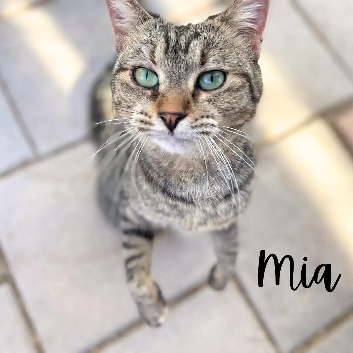 Mia