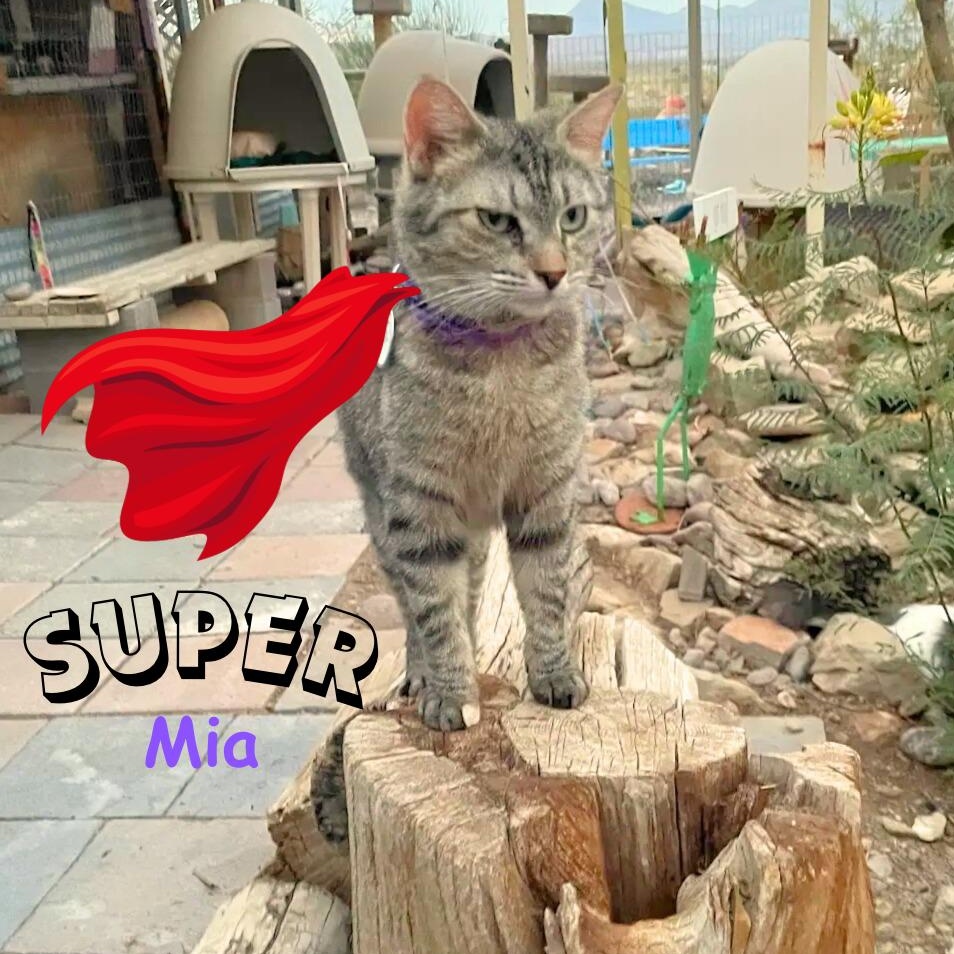 Mia