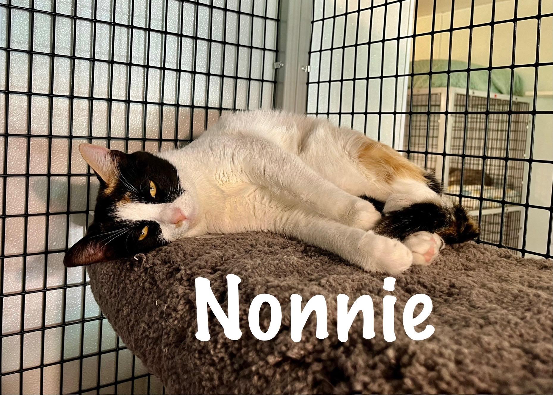 Nala & Nonnie photo 4