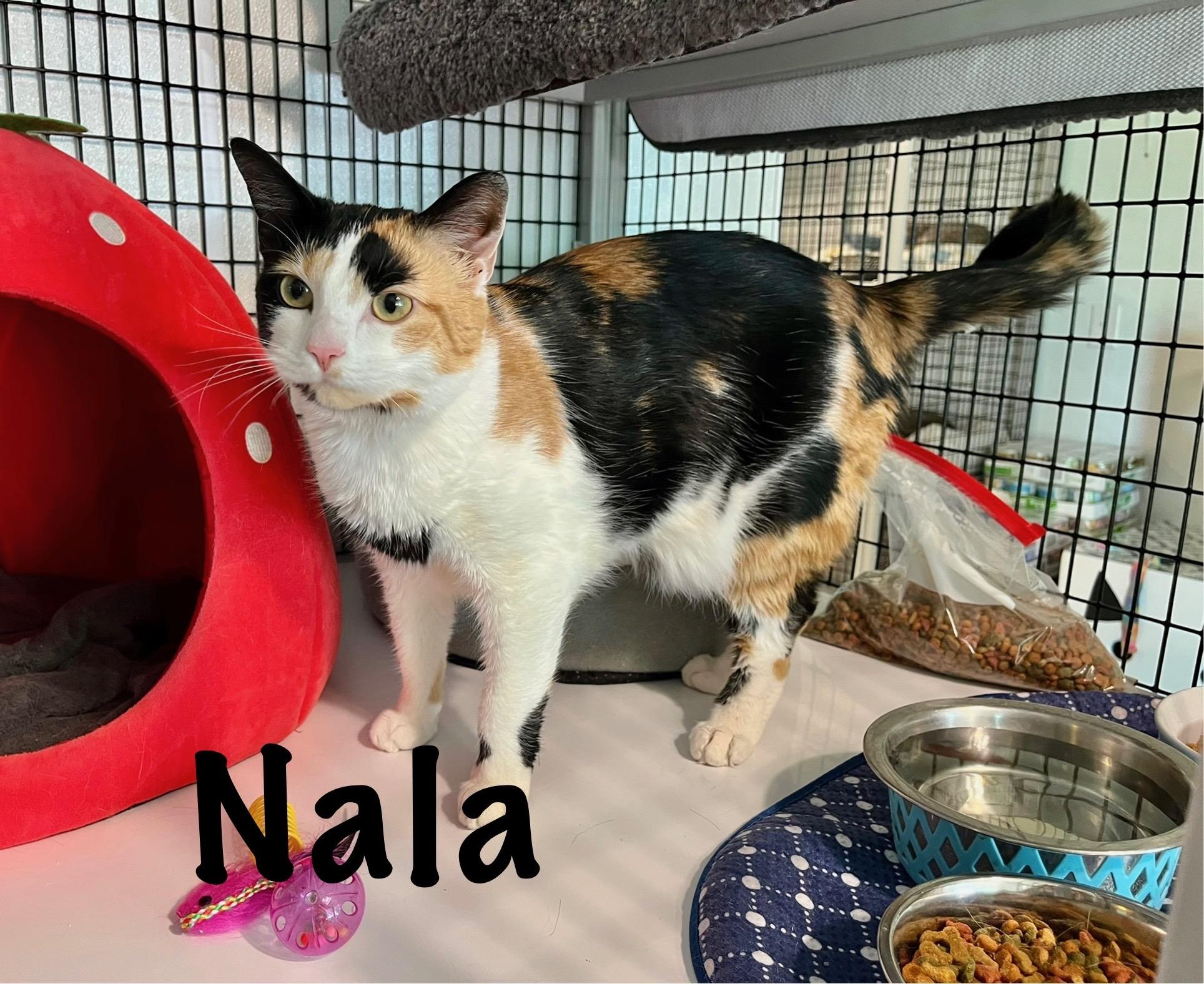 Nala & Nonnie