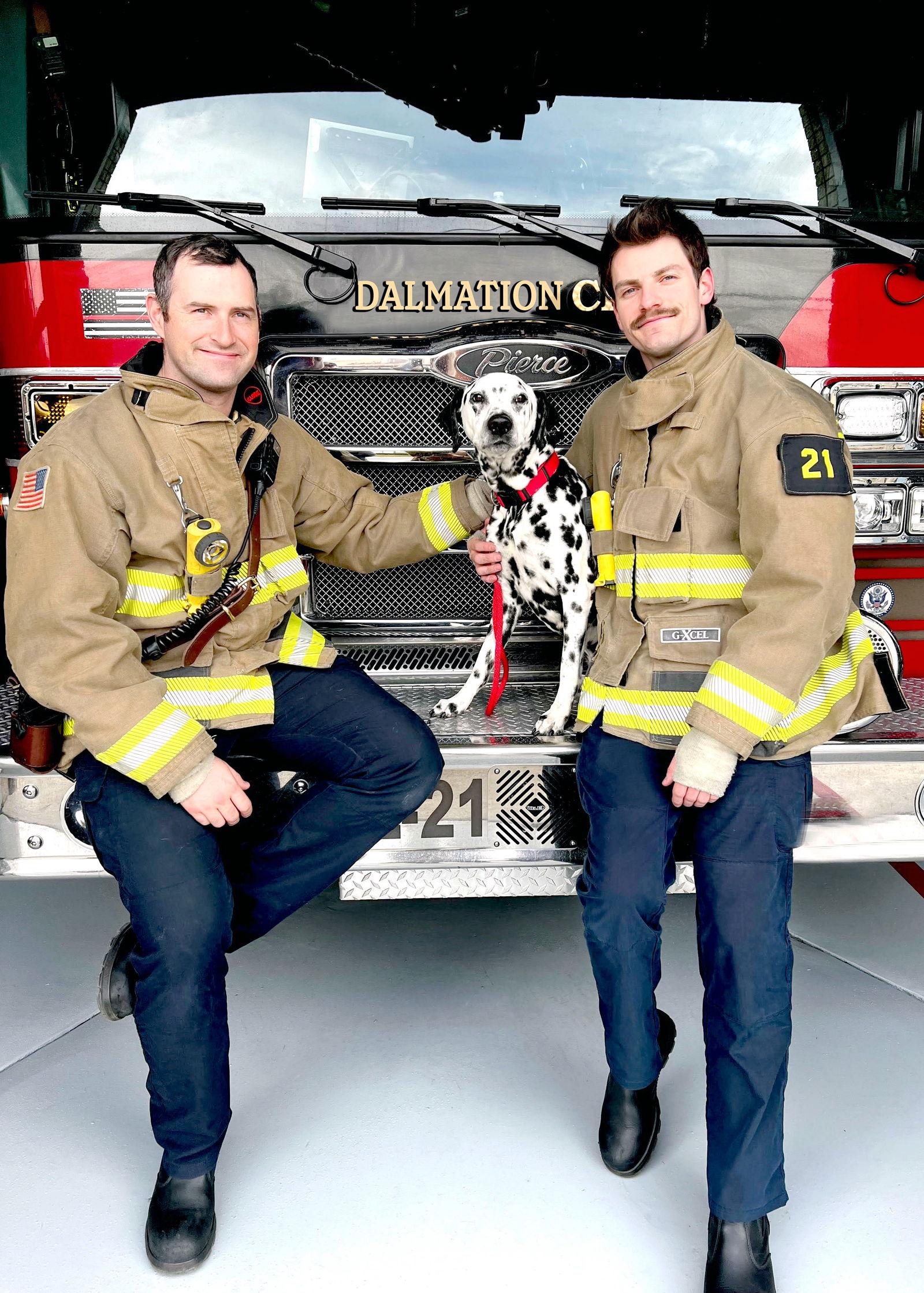 Enlarge Old Man Rupert, a Adoptable Dalmatian in Salt Lake City, UT image 1/3