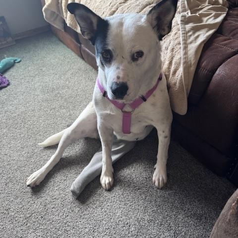 Josie photo 3